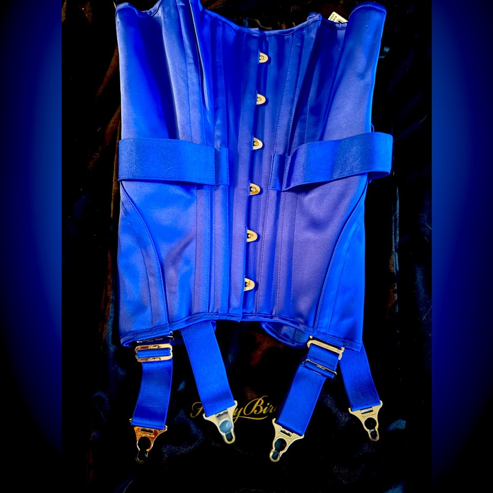 Electric Blue Chastity Corset Medium RARE